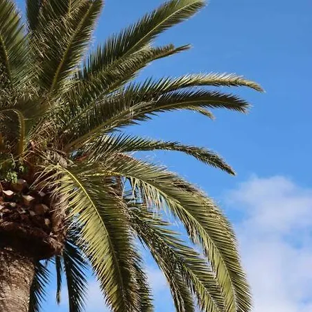 Apartmán T2 Quartier Trottel A Quelques Pas De La Mer Ajaccio (Corsica)